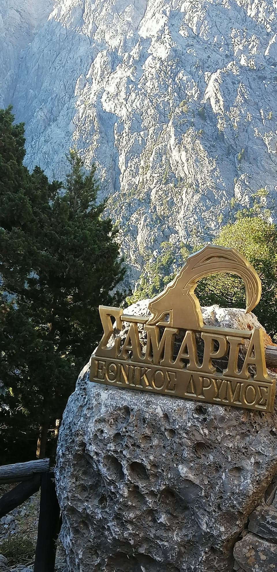 Read more about the article ΦΑΡΑΓΓΙ ΣΑΜΑΡΙΑΣ 2019